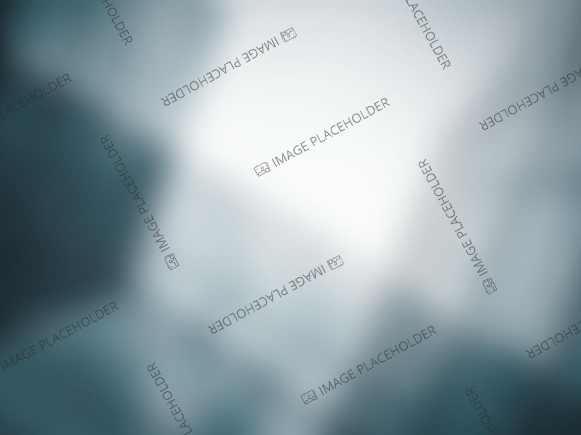 sing corporation